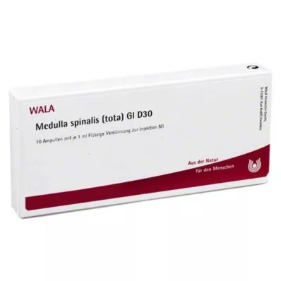 Medulla Spinalis Tota GL D 30 ampułek, 10X1 ml Medulla Spinalis Tota GL D 30 ampułek, 10X1 ml