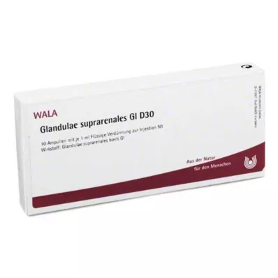 GLANDULAE SUPRARENALES GL D 30 ampułek, 10 x 1 ml GLANDULAE SUPRARENALES GL D 30 ampułek, 10 x 1 ml