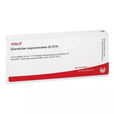 GLANDULAE SUPRARENALES GL D 10 ampułek, 10 x 1 ml GLANDULAE SUPRARENALES GL D 10 ampułek, 10 x 1 ml