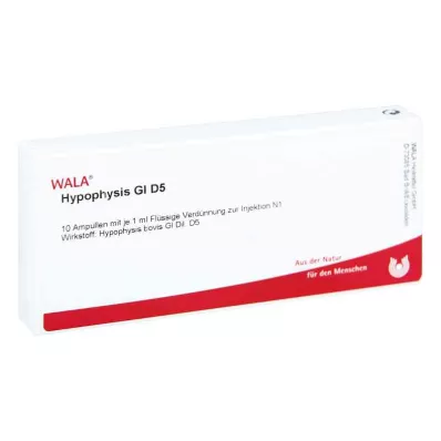 HYPOPHYSIS GL D 5 ampułek, 10 x 1 ml