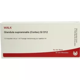 GLANDULA SUPRARENALES cortex GL D 12 ampułek, 10X1 ml