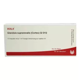 GLANDULA SUPRARENALES cortex GL D 12 ampułek, 10X1 ml