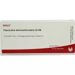 FASCICULUS atrioventricularis GL D 8 ampułek, 10X1 ml