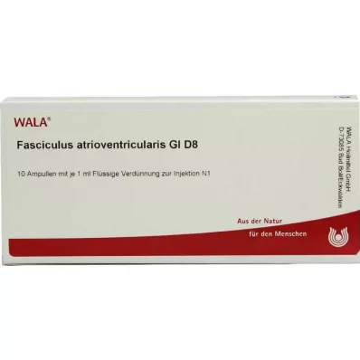FASCICULUS atrioventricularis GL D 8 ampułek, 10X1 ml FASCICULUS atrioventricularis GL D 8 ampułek, 10X1 ml