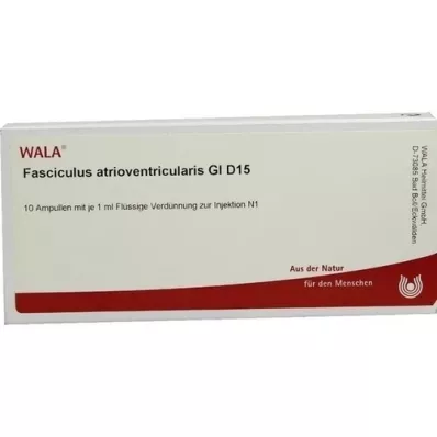 FASCICULUS atrioventricularis GL D 15 ampułek, 10X1 ml