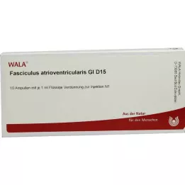 FASCICULUS atrioventricularis GL D 15 ampułek, 10X1 ml