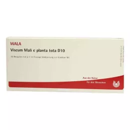 VISCUM MALI e planta tota D 10 ampułek, 10X1 ml
