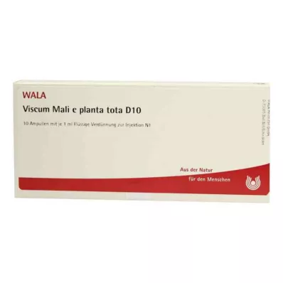 VISCUM MALI e planta tota D 10 ampułek, 10X1 ml VISCUM MALI e planta tota D 10 ampułek, 10X1 ml