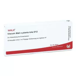 VISCUM MALI e planta tota D 12 ampułek, 10X1 ml