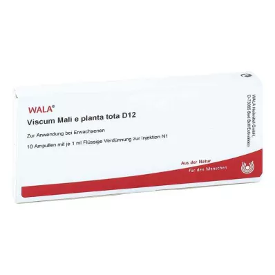 VISCUM MALI e planta tota D 12 ampułek, 10X1 ml