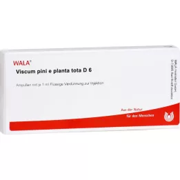 VISCUM PINI e planta tota D 6 ampułek, 10X1 ml