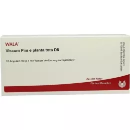 VISCUM PINI e planta tota D 8 ampułek, 10X1 ml