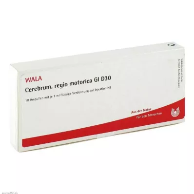 Cerebrum Regio Motor GL D 30 ampułek, 10X1 ml Cerebrum Regio Motor GL D 30 ampułek, 10X1 ml