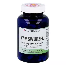 YAMSWURZEL 500 mg GPH Kapsułki, 120 szt