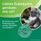 SOLEDUM Balsam w płynie, 50 ml