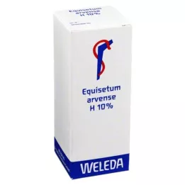 EQUISETUM ARVENSE H 10% oleista mazidło, 50 ml