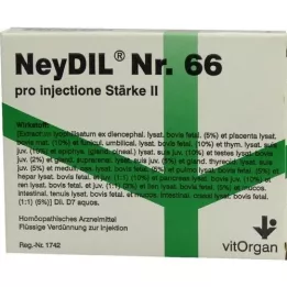 NEYDIL No.66 pro injectione St.2 Ampułki, 5X2 ml