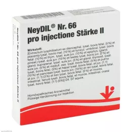 NEYDIL No.66 pro injectione St.2 Ampułki, 5X2 ml