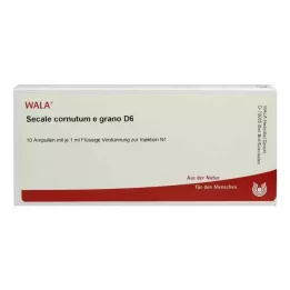 SECALE CORNUTUM E grano D 6 ampułek, 10 x 1 ml