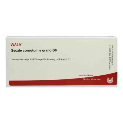 Ampułki Secale Cornutum E Grano D6 (10x1 ml) Ampułki Secale Cornutum E Grano D6 (10x1 ml)