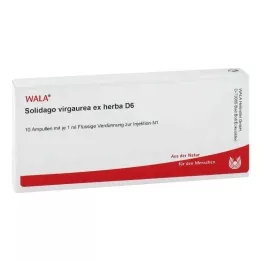 SOLIDAGO VIRGAUREA ex herba D 6 ampułek, 10X1 ml