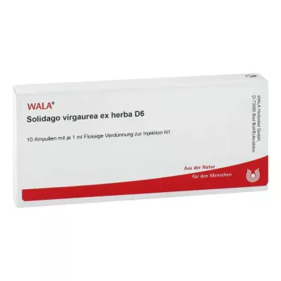 Ampułki Solidago Virgaurea ex herba D6 (10x1 ml) Ampułki Solidago Virgaurea ex herba D6 (10x1 ml)