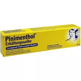 PINIMENTHOL Maść na przeziębienie Eucal./Pine./Menth., 100 g