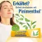 PINIMENTHOL Maść na przeziębienie Eucal./Pine./Menth., 100 g