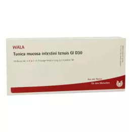 TUNICA mucosa intestini tenuis GL D 30 ampułek, 10X1 ml