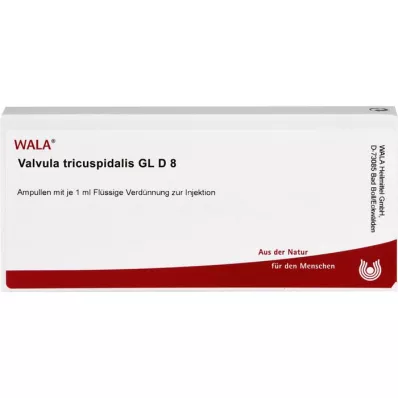 VALVULA tricuspidalis GL D 8 ampułek, 10X1 ml