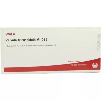 VALVULA tricuspidalis GL D 12 ampułek, 10X1 ml