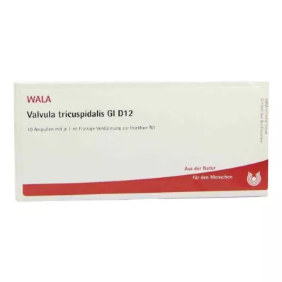 VALVULA tricuspidalis GL D 12 ampułek, 10X1 ml VALVULA tricuspidalis GL D 12 ampułek, 10X1 ml