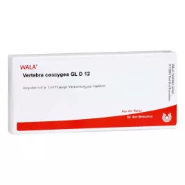 VERTEBRA coccygea GL D 12 ampułek, 10X1 ml