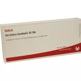 VERTEBRA lumbalis GL D 6 ampułek, 10X1 ml