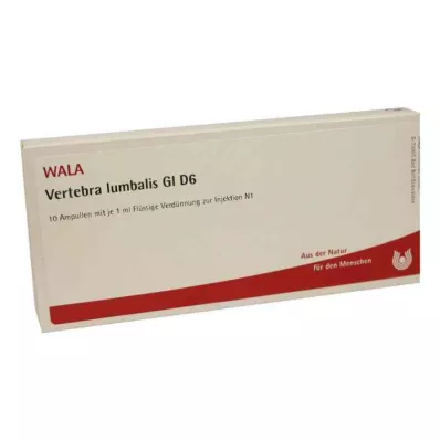 VERTEBRA lumbalis GL D 6 ampułek, 10X1 ml