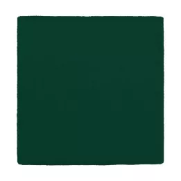 MULLKOMPRESSEN 10x10 cm 12x zielony, 100 szt