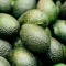 RAUSCH Szampon chroniący kolor Avocado, 200 ml