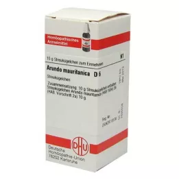 ARUNDO mauritanica D 6 kuleczek, 10 g
