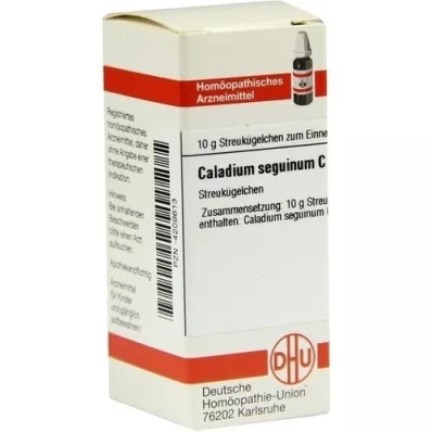 CALADIUM seguinum C 30 globulek, 10 g