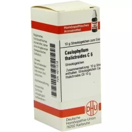 CAULOPHYLLUM THALICTROIDES C 6 kulek, 10 g