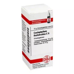 CAULOPHYLLUM THALICTROIDES C 6 kulek, 10 g