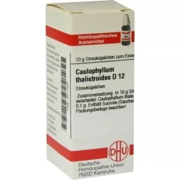 CAULOPHYLLUM THALICTROIDES D 12 kulek, 10 g