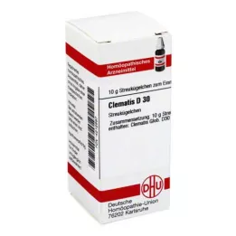CLEMATIS D 30 kulek, 10 g