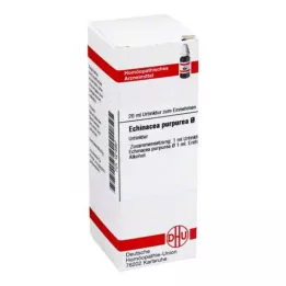 ECHINACEA PURPUREA nalewka macierzysta, 20 ml