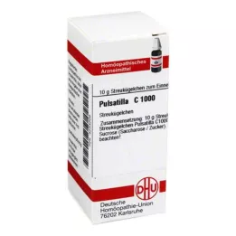 PULSATILLA C 1000 globulek, 10 g