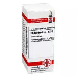 RHODODENDRON C 30 kulek, 10 g