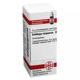 SOLIDAGO VIRGAUREA D 12 kulek, 10 g