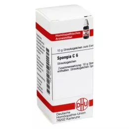 SPONGIA C 6 kulek, 10 g