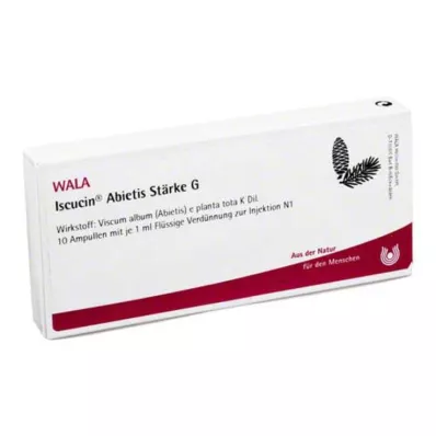 Ampułki Iscucin Abietis St.G, 10x1 ml Ampułki Iscucin Abietis St.G, 10x1 ml