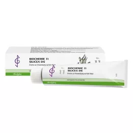 BIOCHEMIE 11 Silicea D 6 Cream, 100 ml